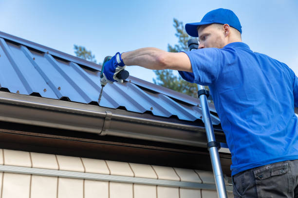 Best Roof Moss and Algae Removal  in Newaygo, MI